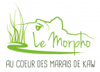 Le Morpho organisme de tourisme