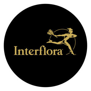 Interflora - Livraison de fleurs à LEZIGNAN CORBIERES fleuriste