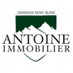 Antoine Immobilier agence immobilière