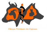 Clinique Vétérinaire Espinaux