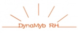 Dynamyb RH conseil en formation et gestion de personnel