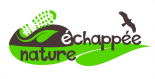 Echappée Nature association et club de sport