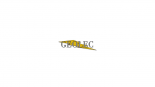 GEOLEC urgence et assistance (service)