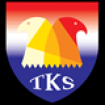 TKS SECURITE PRIVEE entreprise de surveillance, gardiennage et protection