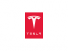 TAXI TESLA SANDRINE taxi (artisan)