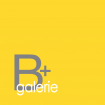 B+ galerie galerie d'art