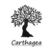 Carthagea Management maison de retraite établissement privé