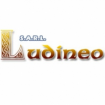 Ludineo création de site, hébergement Internet