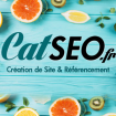 CatSEO Référencement création de site, hébergement Internet