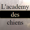 l'academy des chiens dressage animal