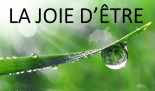 Coaching de vie et soins énergétiques. Access Bars et Biorésonance soins hors d'un cadre réglementé