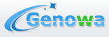 Genowa Web Agence Lyon création de site, hébergement Internet