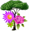 C.C.jardins