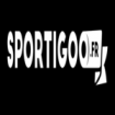 SPORTIGOO.FR le site référence pour EVG - EVJF - Anniversaire - Team Building animation commerciale et évènementielle