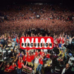Wim Percussion animation artistique