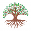 Détox & Rando en Sologne naturopathe