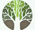 K.R Service entrepreneur paysagiste