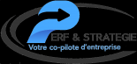 Perf & Stratégie conseil en organisation, gestion management