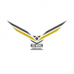 vtc-wings taxi