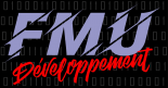FMU Développement informatique (logiciel et progiciel)