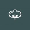COTTON STUDIO graphiste
