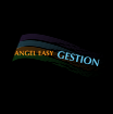 angel easy gestion conseil en organisation, gestion management