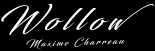 Wollow Studio photographe d'art et de portrait