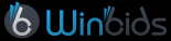 Winbids conseil et étude financière