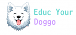 Educ Your Doggo dressage animal