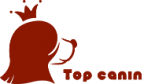 topcanin Ouvert le dimanche