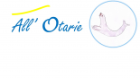 All'Otarie lavage et nettoyage auto