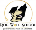 Dog wolf school dressage animal