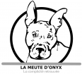 La meute d'Onyx dressage animal
