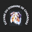 Elevage du Domaine de Chadadias élevage de chiens, de chats