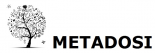 Metadosi création de site, hébergement Internet