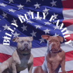 Billy Bully Family - Elevage d'American Bully élevage animal