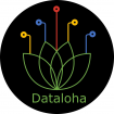 Dataloha conseil en organisation, gestion management