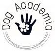 Dog Academia Cévennes dressage animal