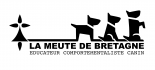 La meute de Bretagne dressage animal