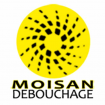 Débouchage Moisan débouchage de canalisation