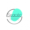 Seacéo marketing digital