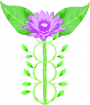 Sarah Mathieu Naturopathe naturopathe