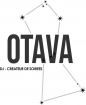 DJ OTAVA animation artistique