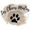 leschiensmalins animalerie