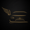 Hermes Transfert taxi