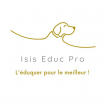 Isis Educ Pro dressage animal