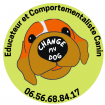 Change my dog dressage animal