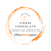 Pierre COGNOLATO EffectimmoPaca