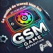 GSM GAME électronique professionnelle (matériel et composants en gros)