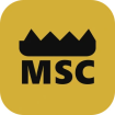 MAJESTIC SOUTH CHAUFFEURS taxi